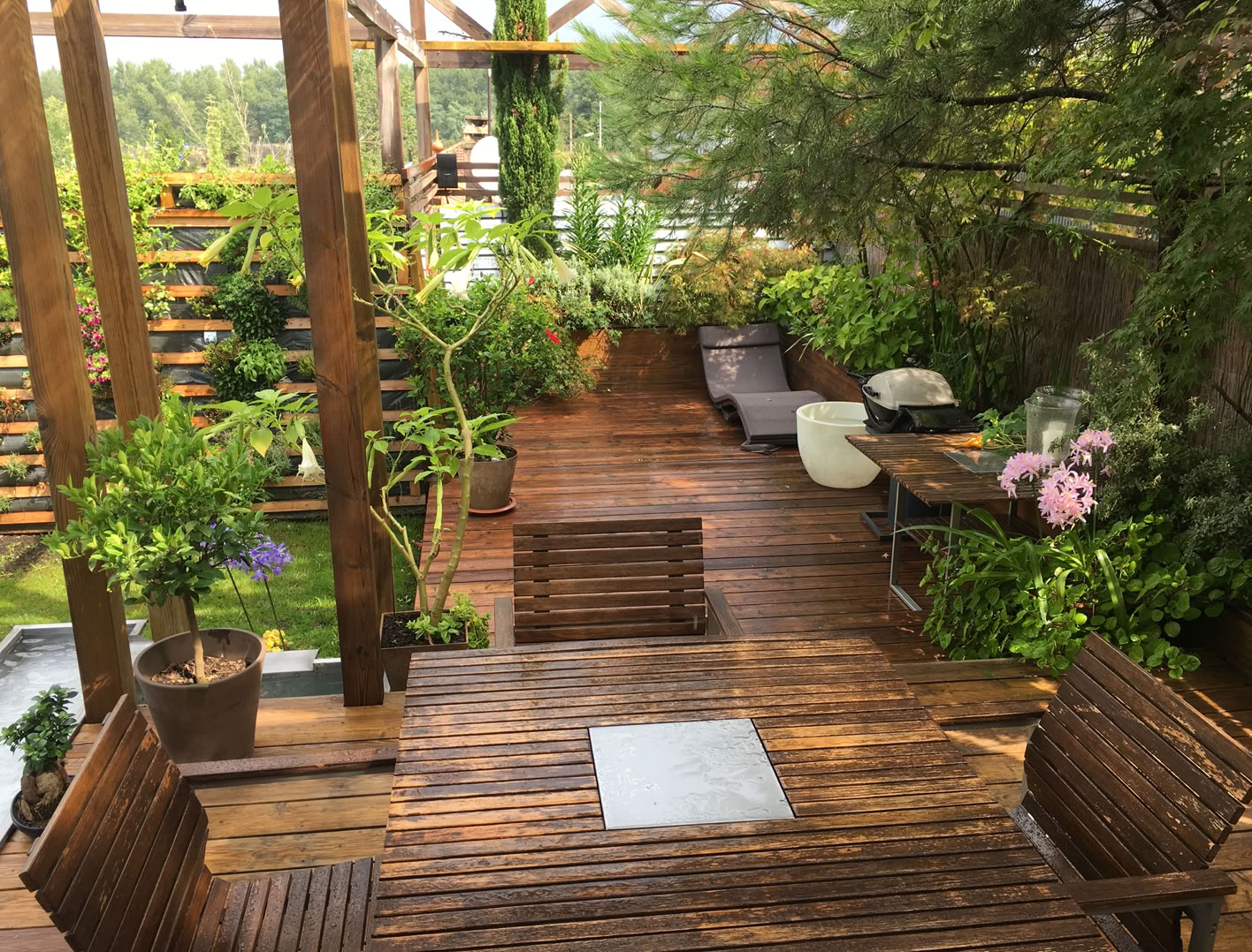 Außenterrasse mit Pergola und umgeben von Vegetation.