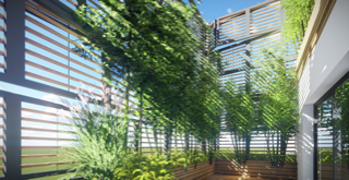 View from a terrace with wooden screen walls and tall vegetation in planters.