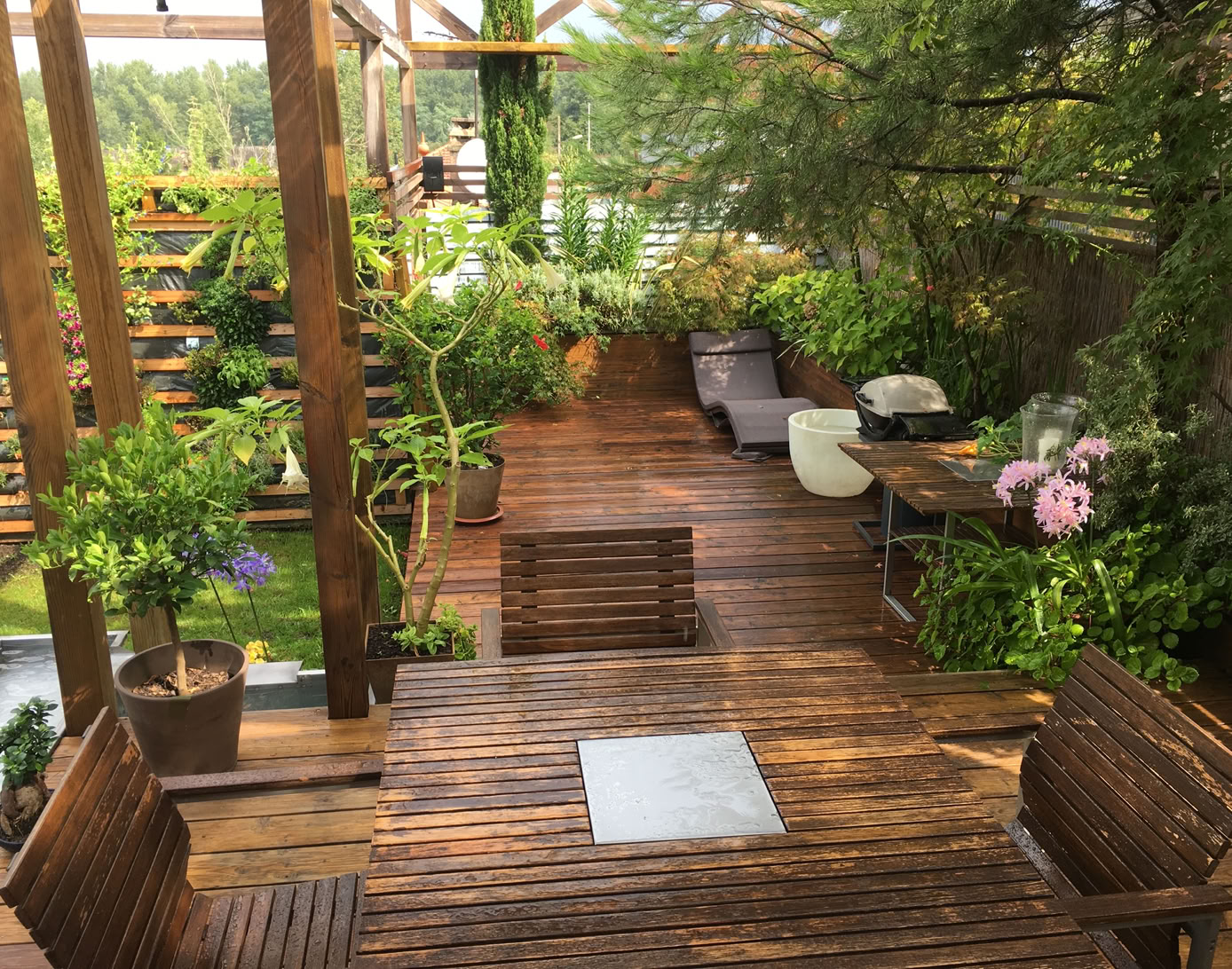Outside terrace with pergola, surrounded by vegetation.